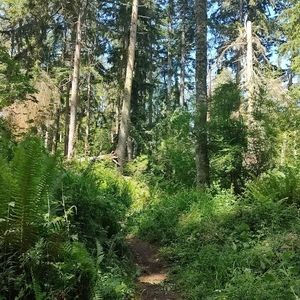 Meet your Posher, Enzo